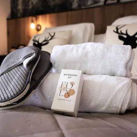 Sauna Bain Nordique Cinéma Vue Montange Chalet