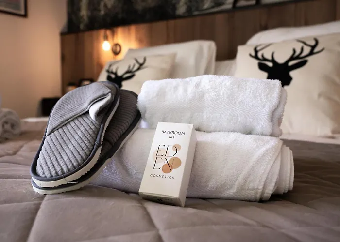 Sauna Bain Nordique Cinéma Vue Montange Chalet