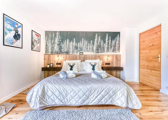 Sauna Bain Nordique Cinéma Vue Montange Chamonix Mont Blanc