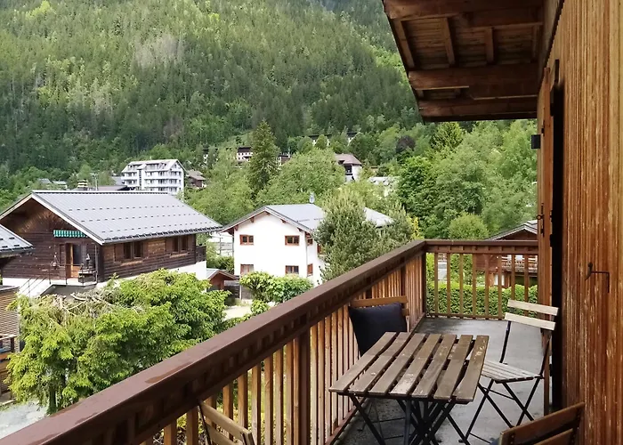 Sauna Bain Nordique Cinéma Vue Montange *
