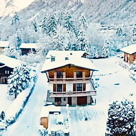 Sauna Bain Nordique Cinema Vue Montange 木屋 霞慕尼