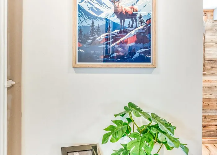 Sauna Bain Nordique Cinema Vue Montange Alpehytte