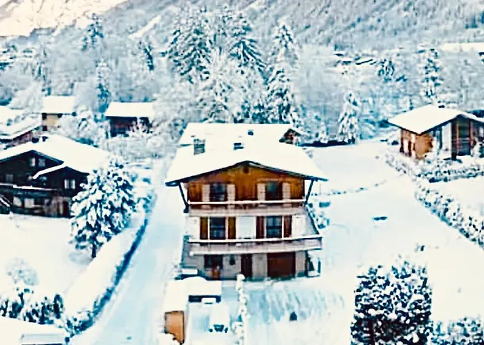 Sauna Bain Nordique Cinema Vue Montange Alpehytte Chamonix